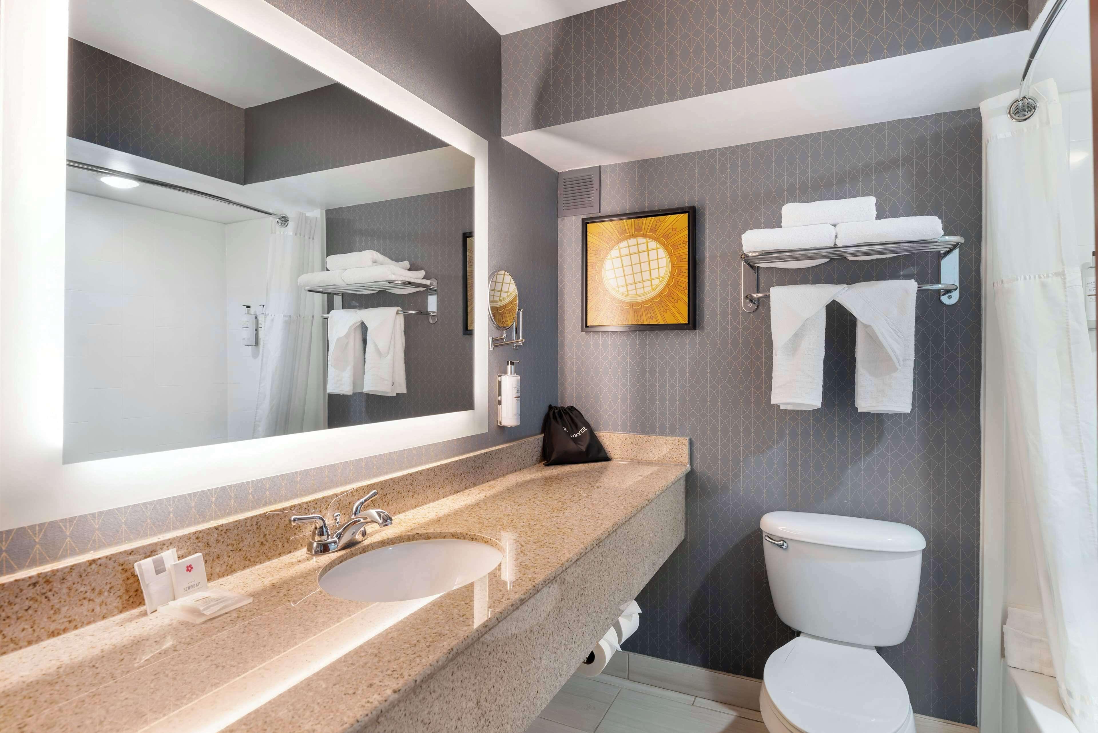 One-Bedroom King Suite with Sofa Bed - Non-Smoking