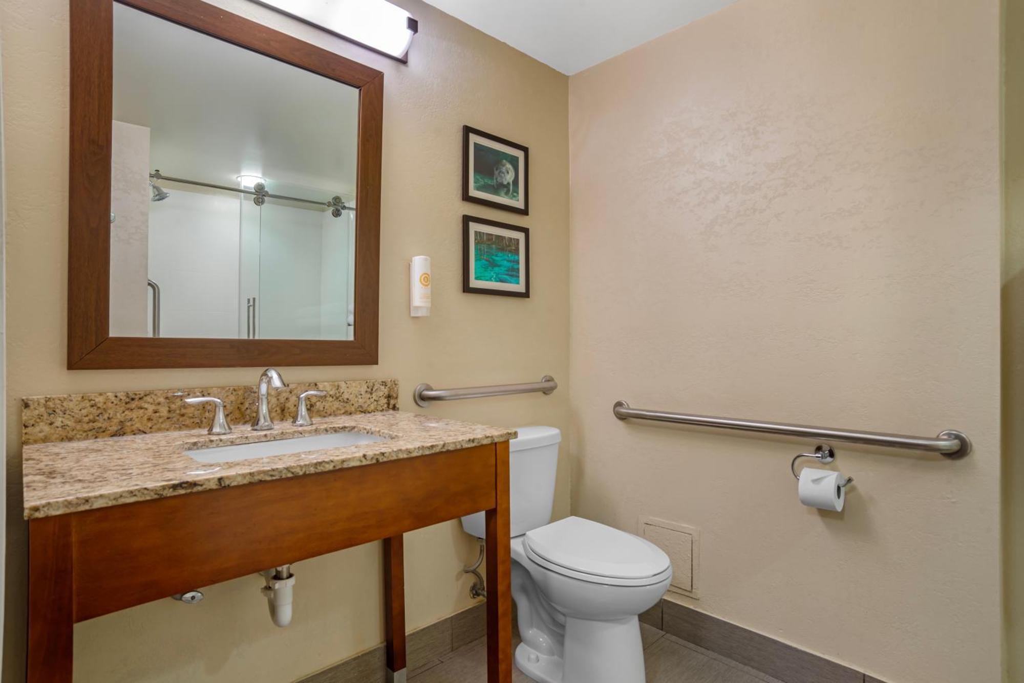 King Suite - Accessible/Non-Smoking