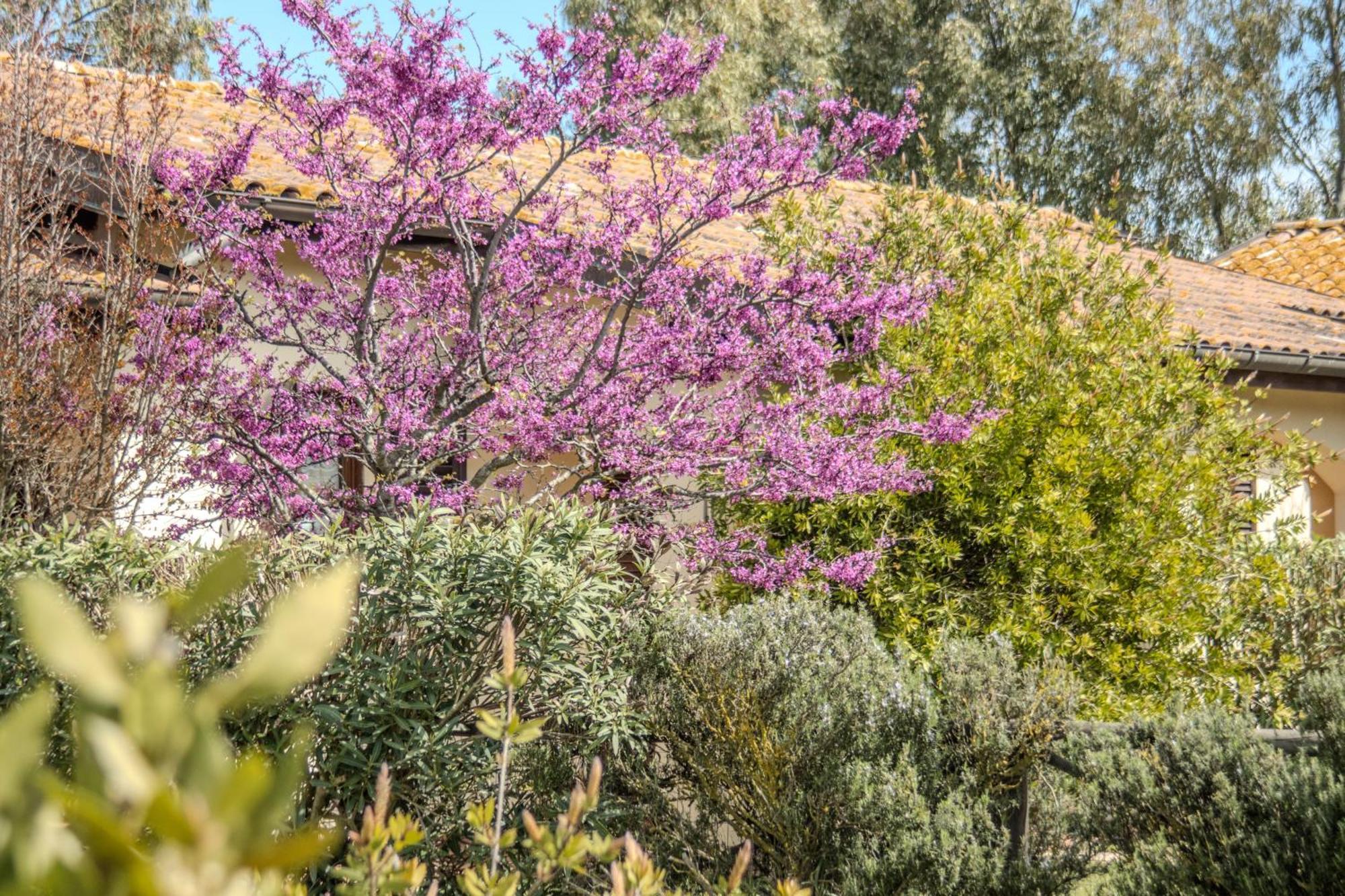 Villa con Vista Giardino