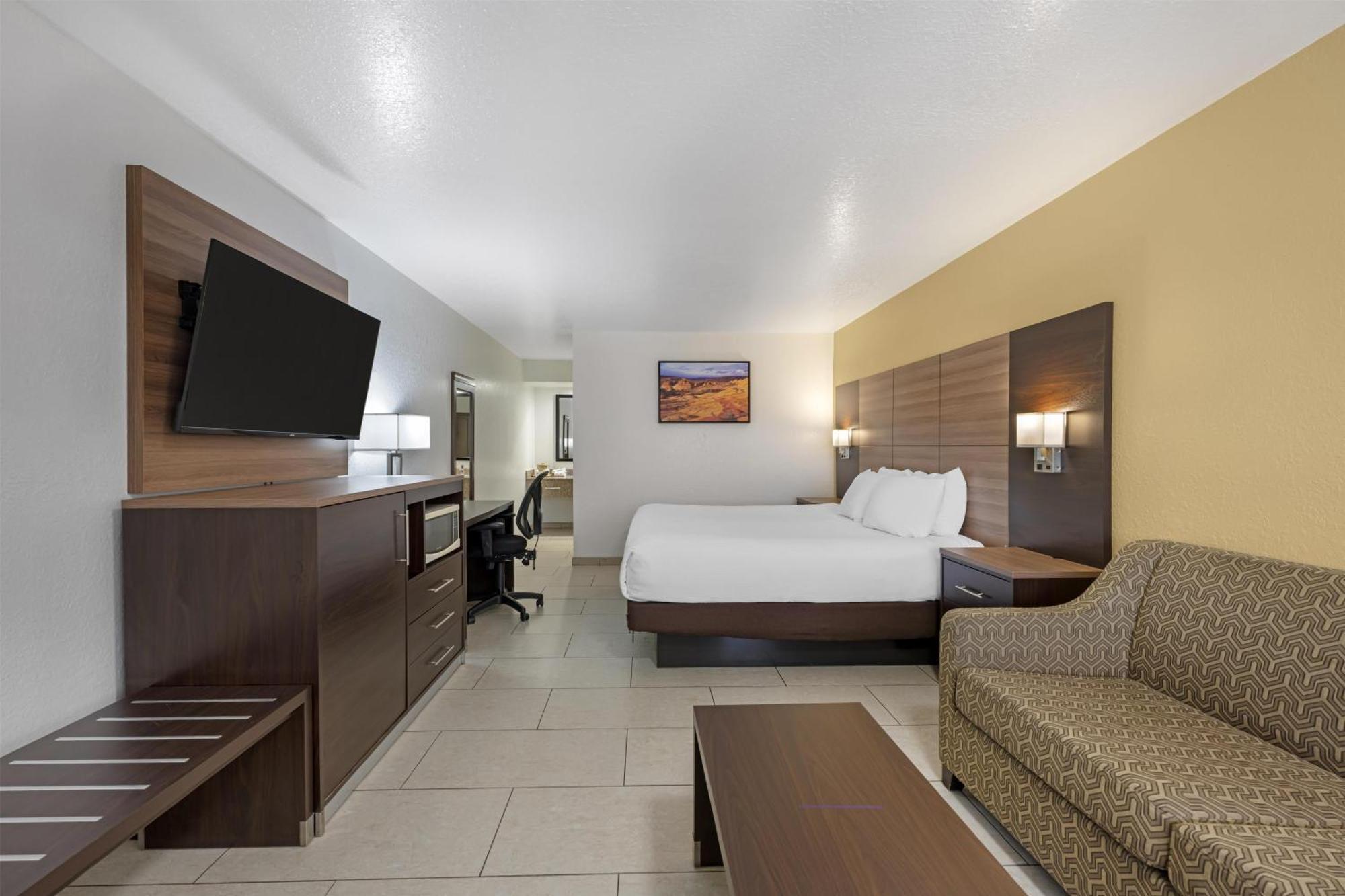 King Room - Pet-Friendly