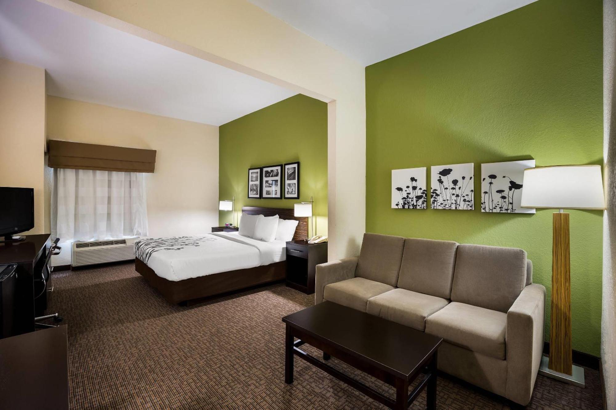 King Suite with Sofa Bed