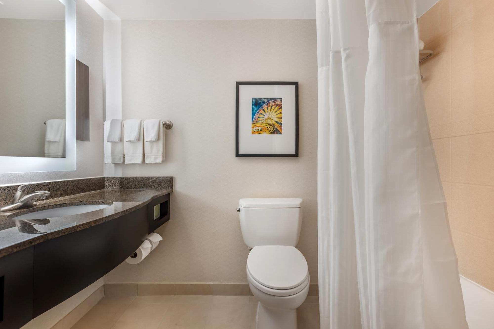 Junior King Suite with Sofa Bed