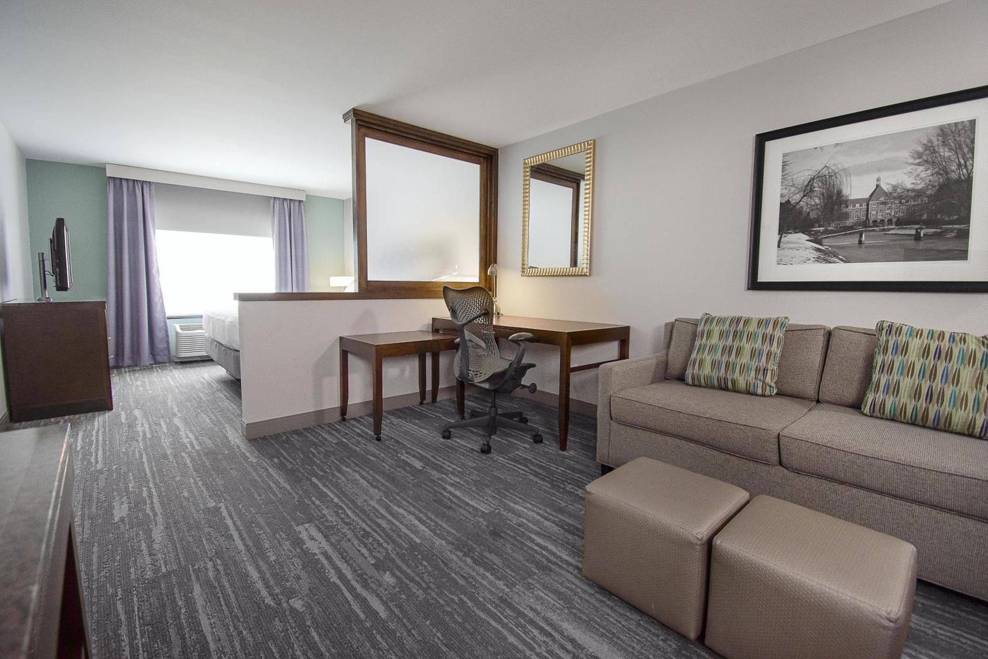 Junior King Suite with Sofa Bed