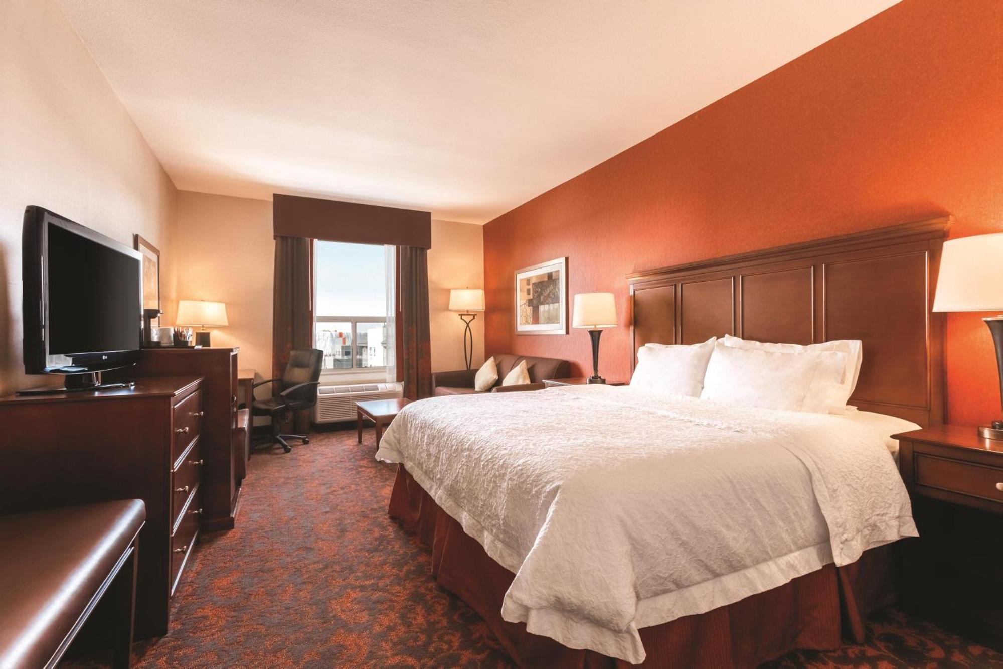 King Studio Suite with Sofa Bed - Non-Smoking