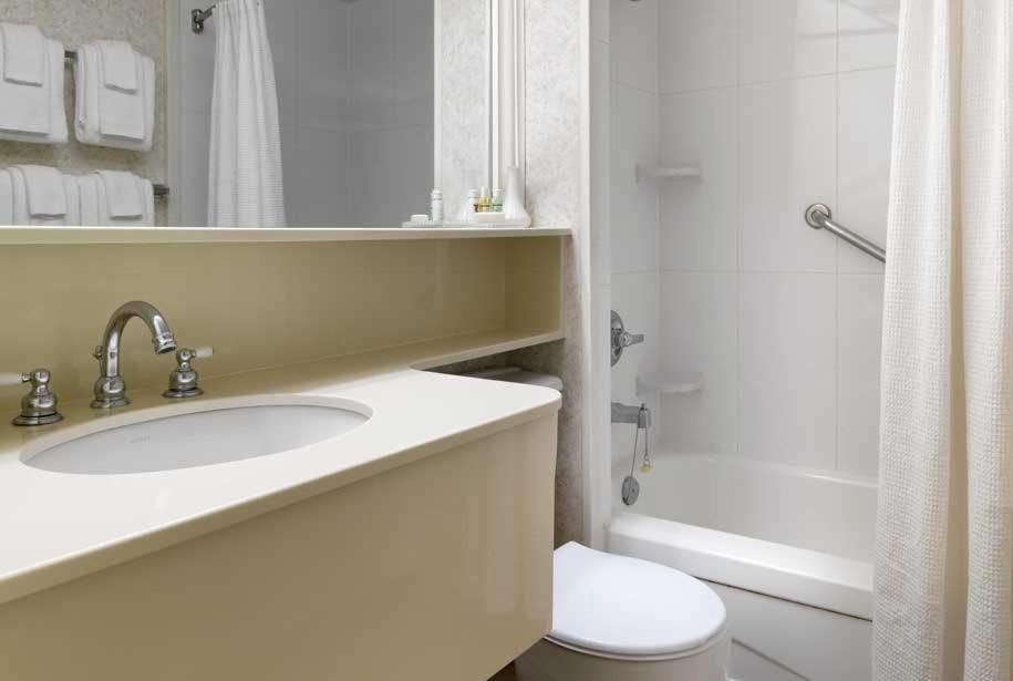 Studio Suite met Kingsize Bed - Rookvrij