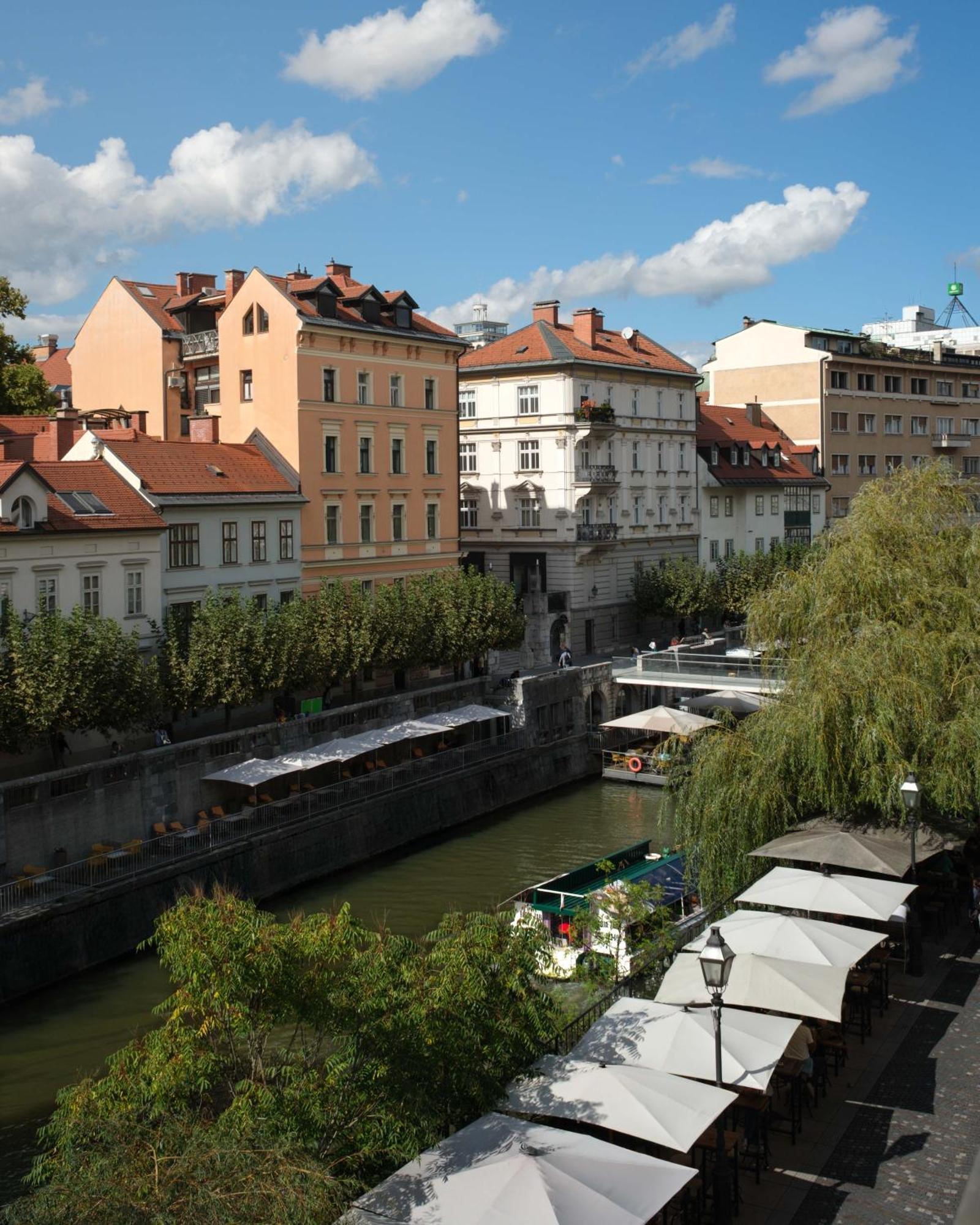 Suite Junior - Vue sur Fleuve