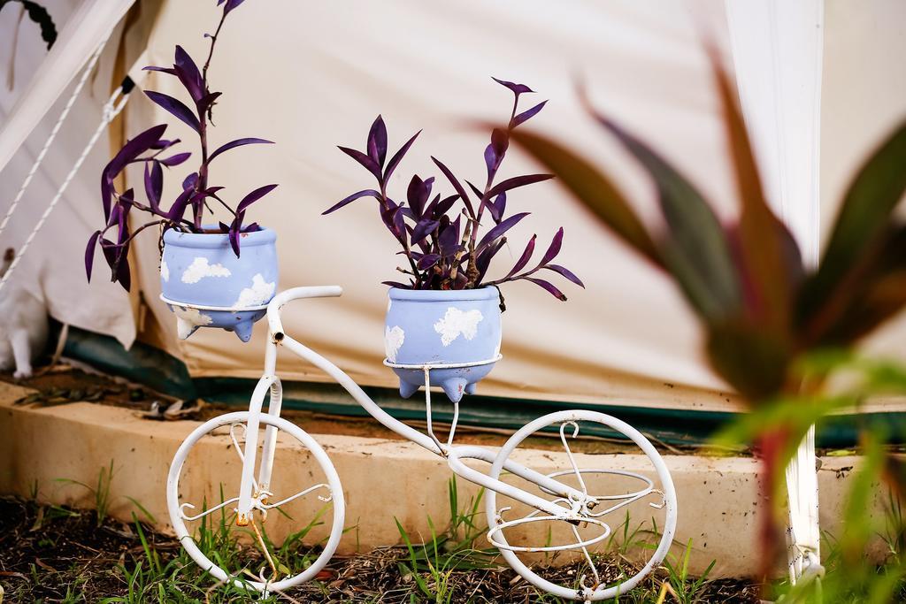 Tent