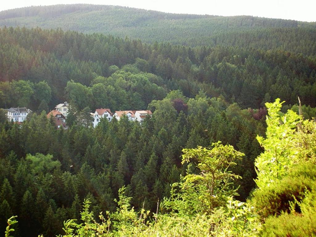 Apartment mit Balkon - Waldesblick