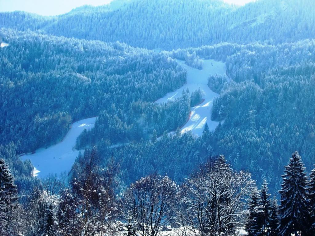 Dreibettzimmer mit Bergblick