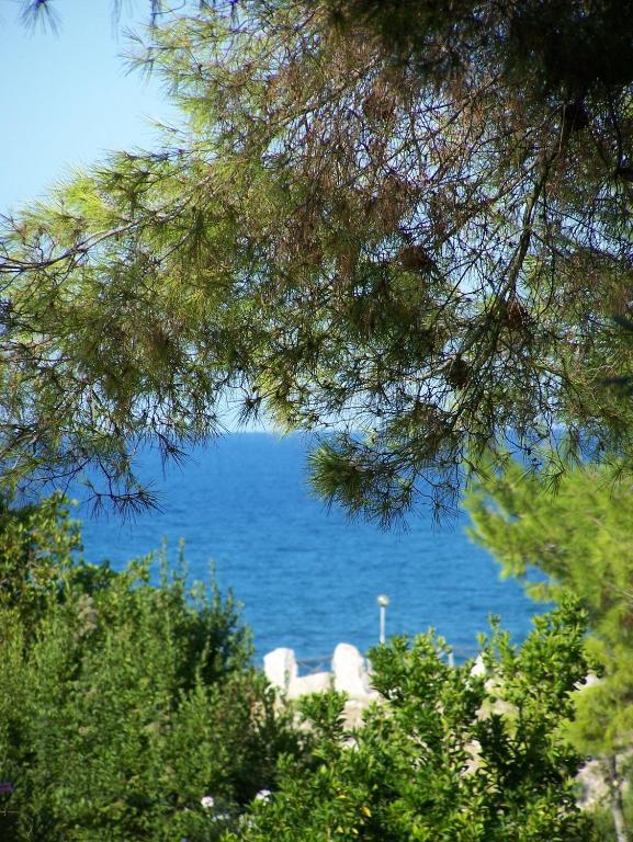 Villa Superior con Vista Mare