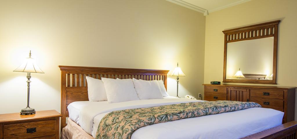 Chambre Lit King-Size - Accessible aux Personnes à Mobilité Réduite