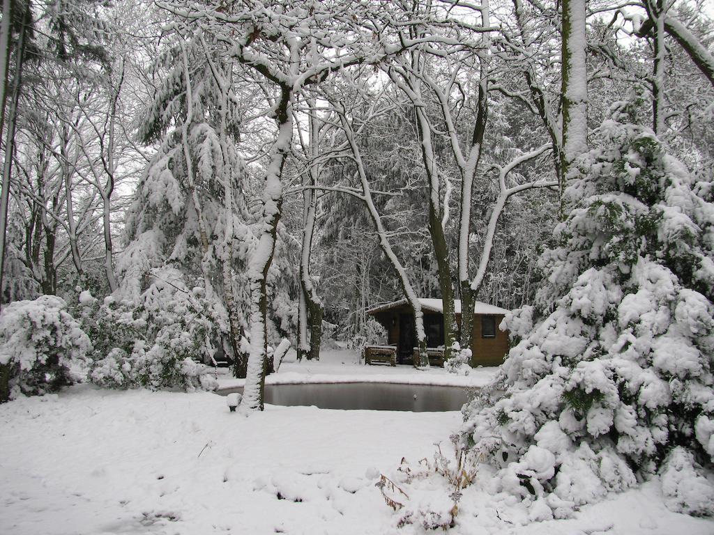 Bungalow