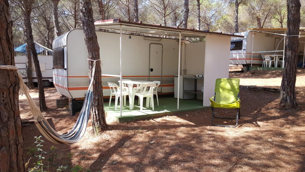 Caravan,411581388:JPEG