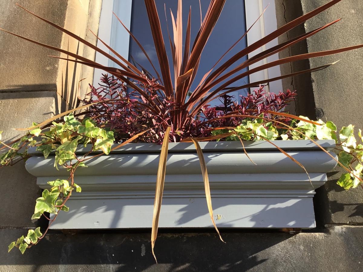 Estúdio com Terraço