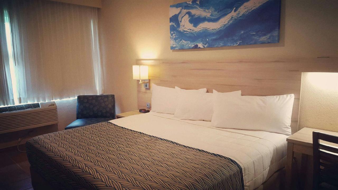 Single King Suite