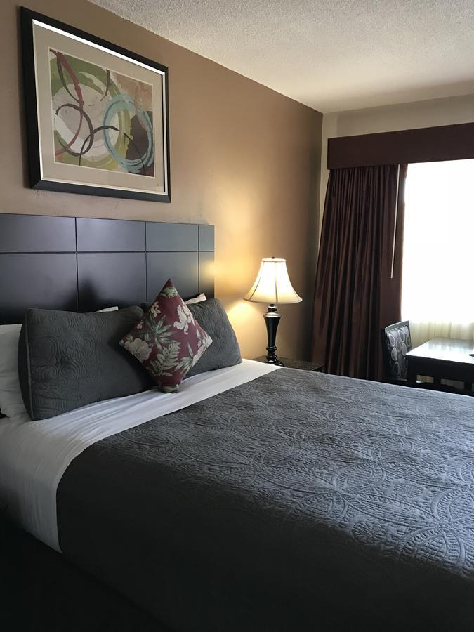 Queen Room,404916072:JPEG
