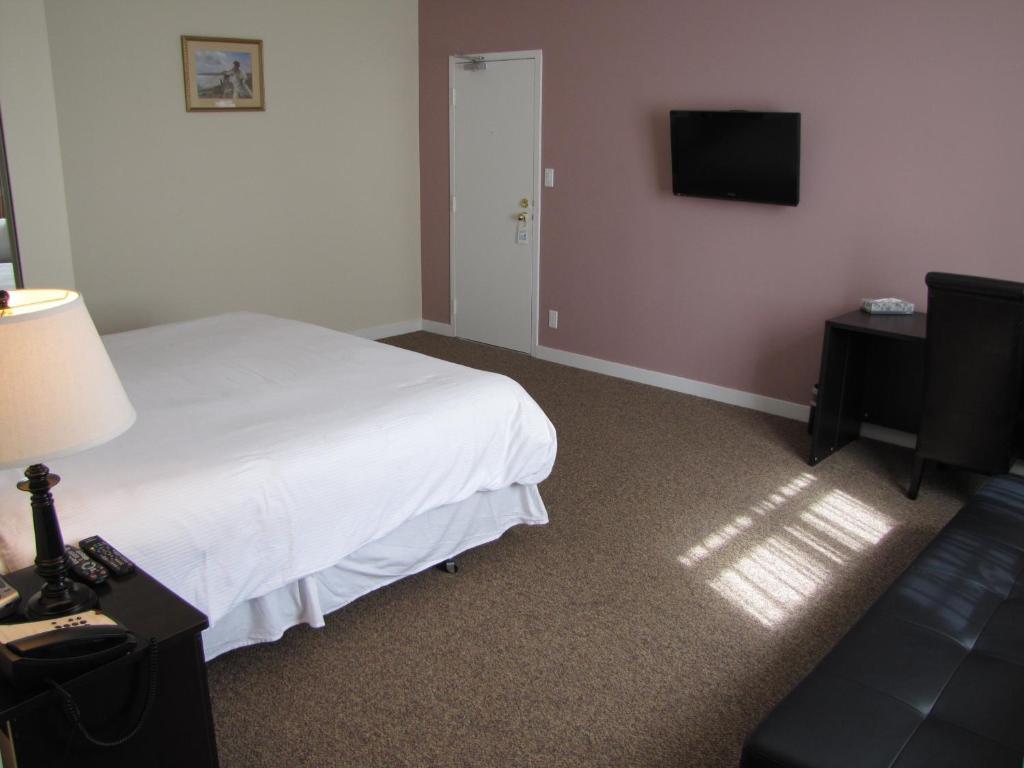 Suíte de 1 Quarto com Sofá-cama