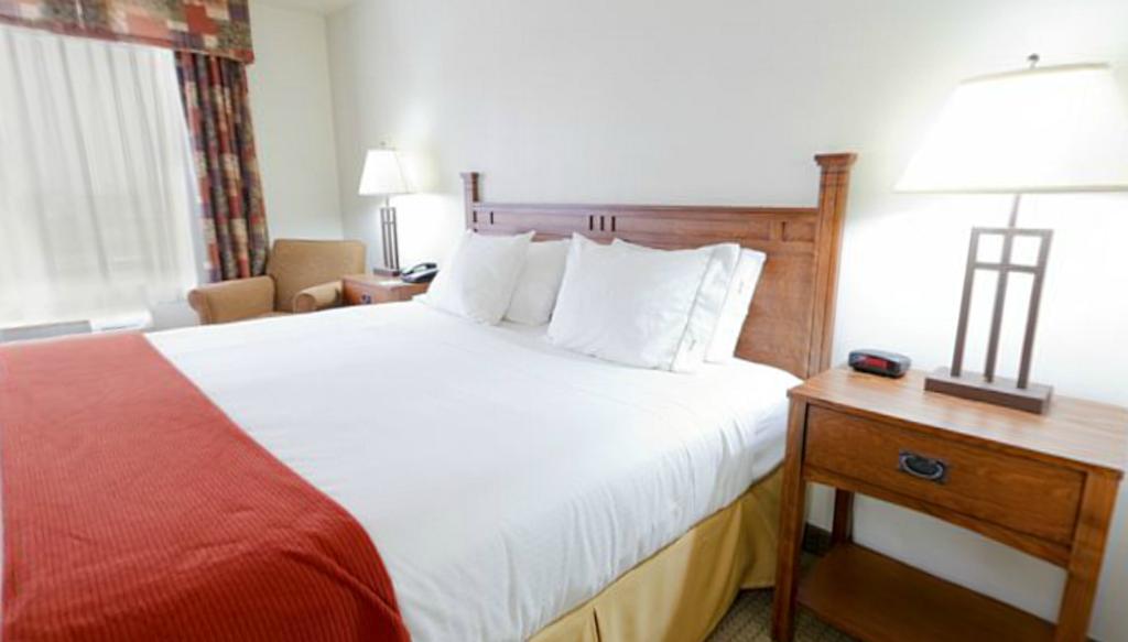 Executive Suite with Sofa Bed