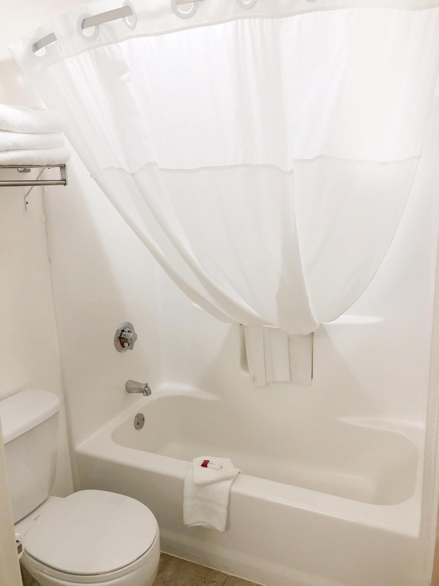 King Studio Suite -  Non-Smoking