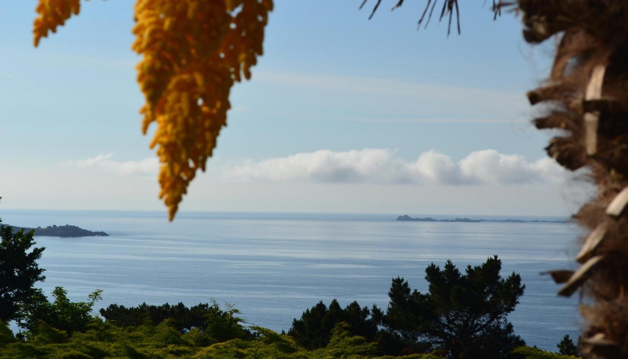 Suite avec Terrasse et Vue sur la Mer