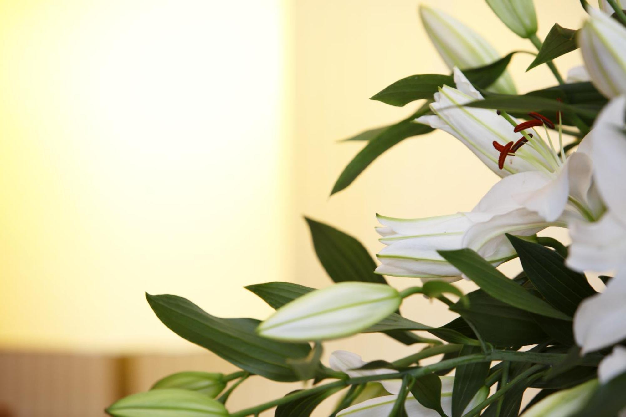 Dreibettzimmer mit Bad
