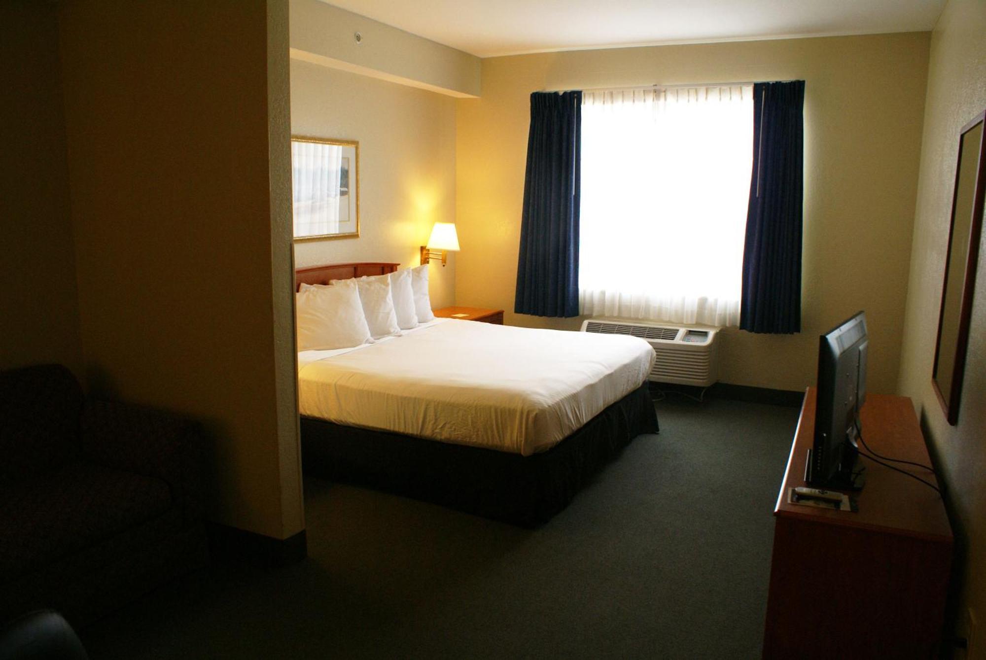 King Studio with Sofa Bed - Disability Access