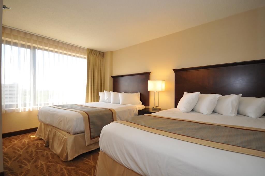 Standard Queen Room with Two Queen Beds,71943923:JPEG