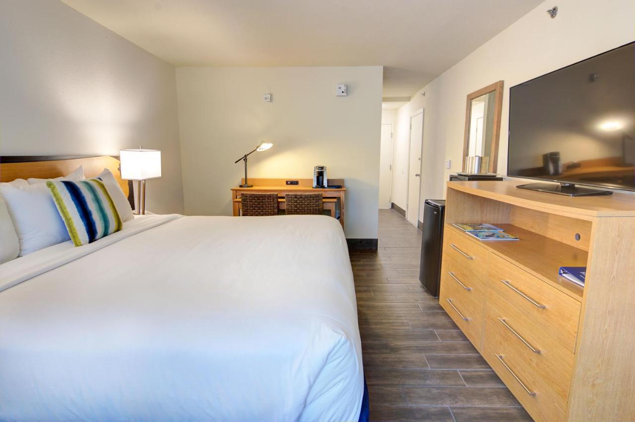 Standard Queen Room - Disability Accessible