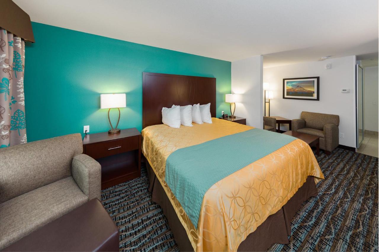 King Room - Not Pet Friendly