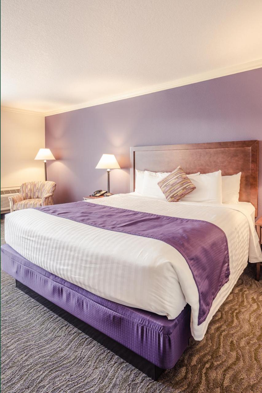 Comfort Kamer met Kingsize Bed
