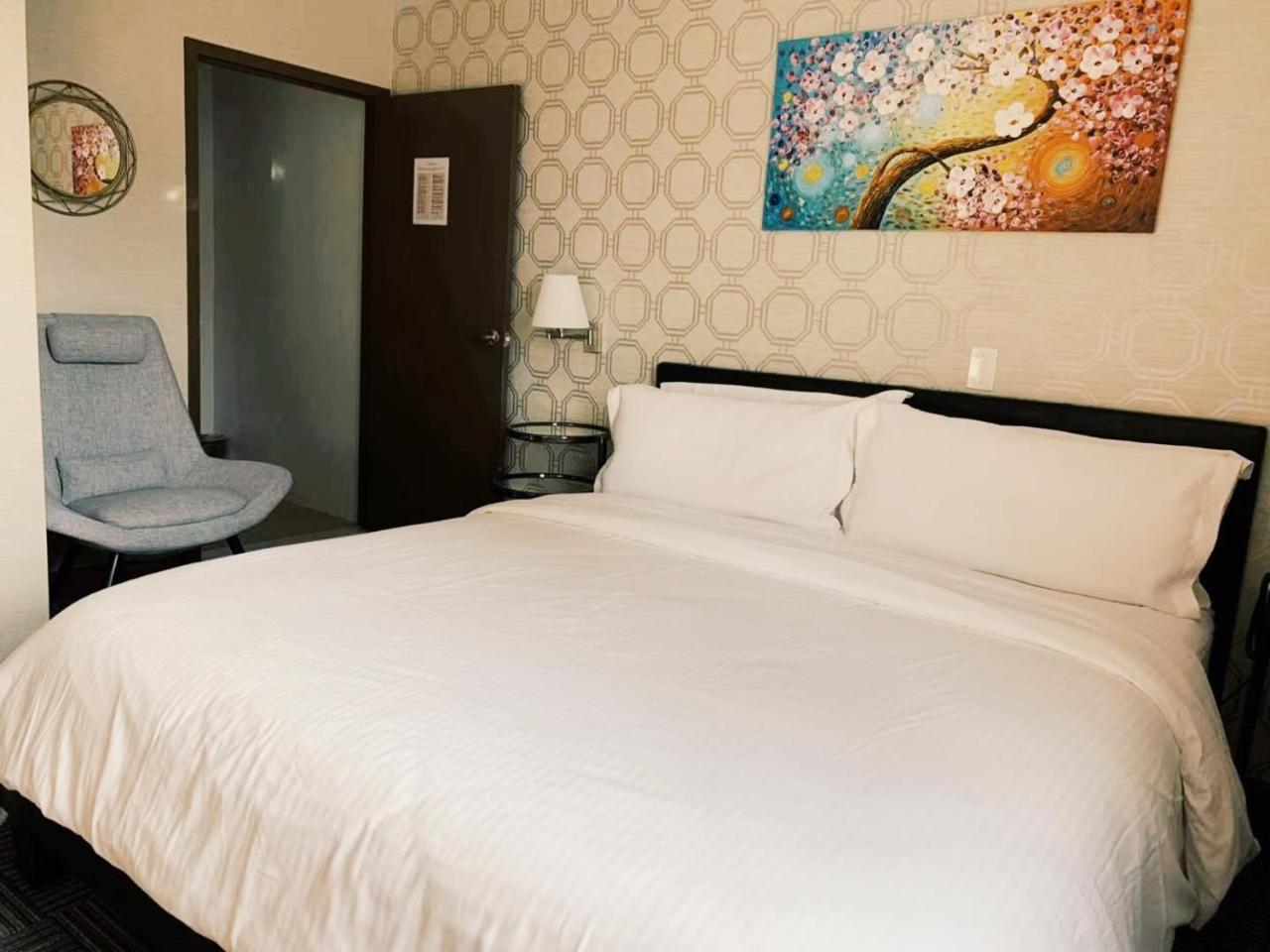 Habitación Estándar - Cama extragrande