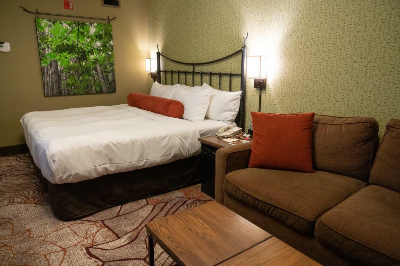 Habitación Superior con cama extragrande