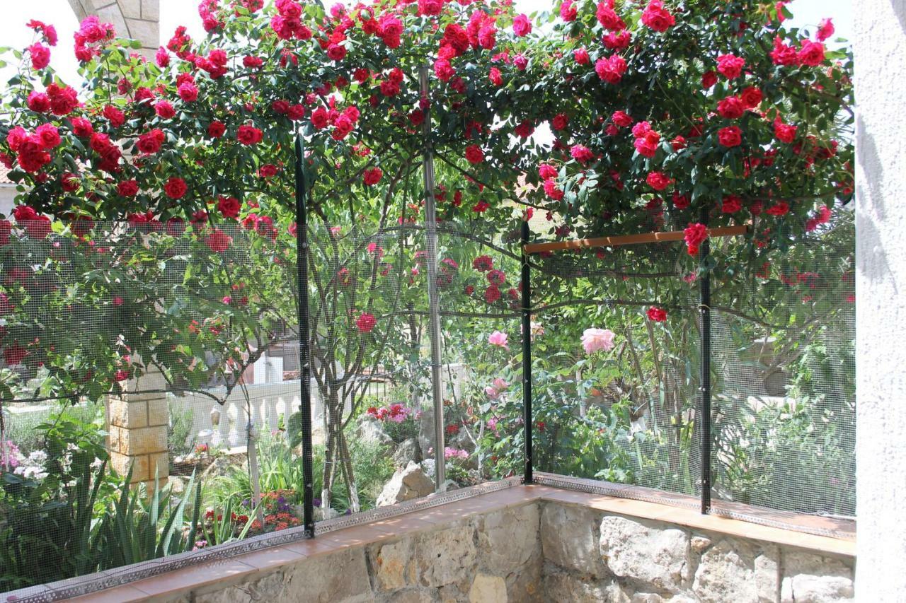 Camera Familiare con Terrazza