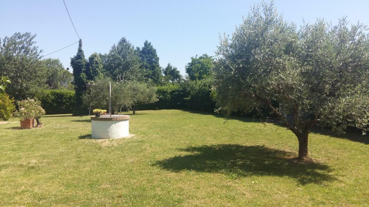 Monolocale con Vista Giardino