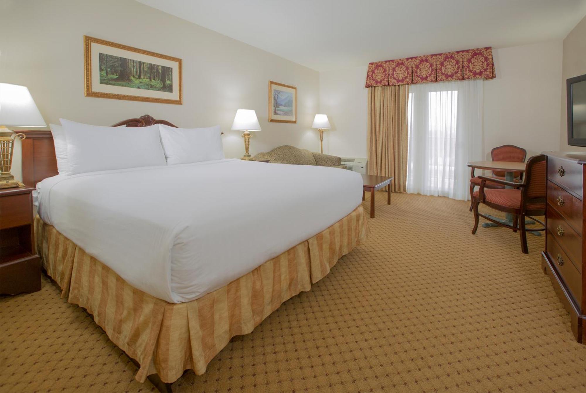 Deluxe King with Sleeper Sofa and Waterpark View