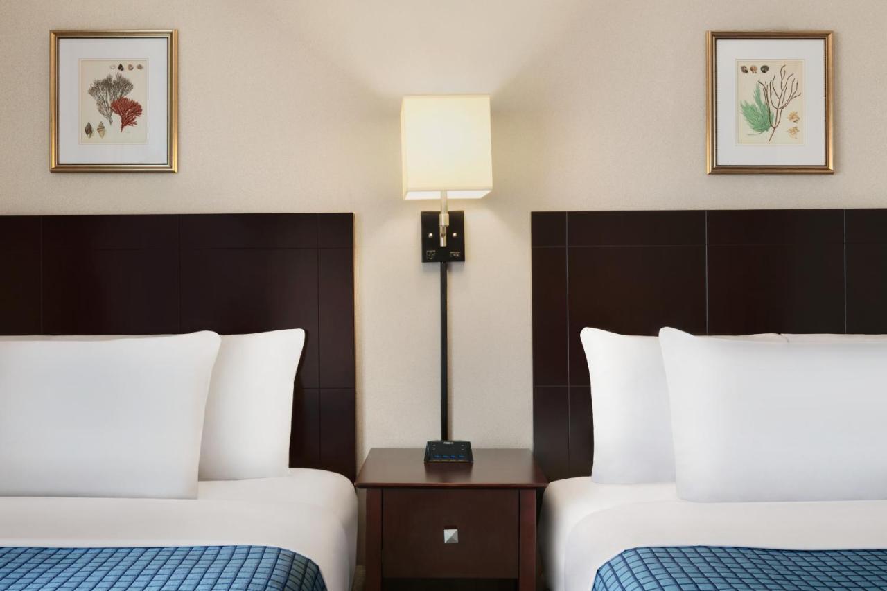 Room with Two Double Beds - Street View
