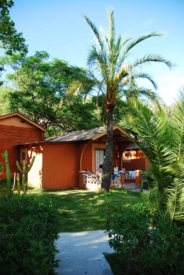Bungalow Single,954653248:JPEG