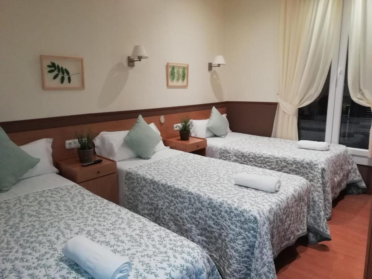 Driepersoonskamer met Gedeelde Badkamer (3 Bedden)