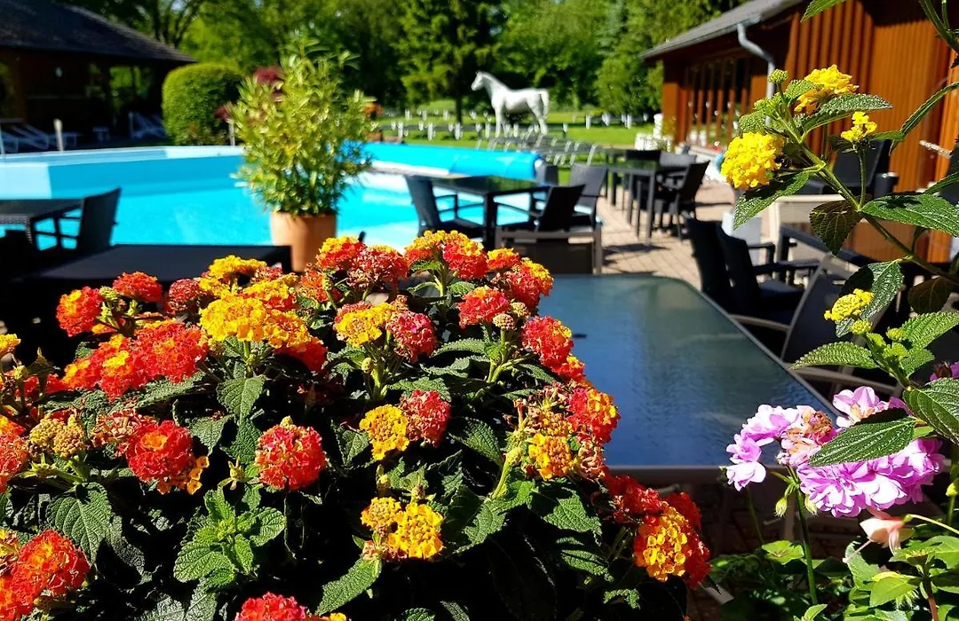 Hotel Eifelsteig-1