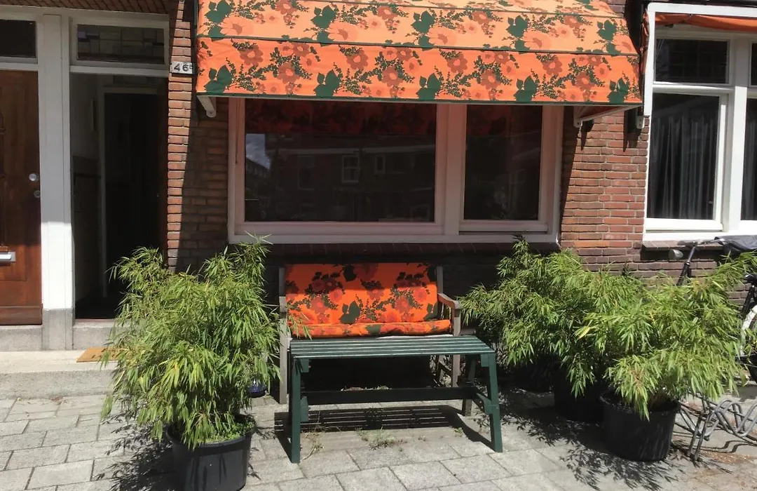 Imagine My B&B-1