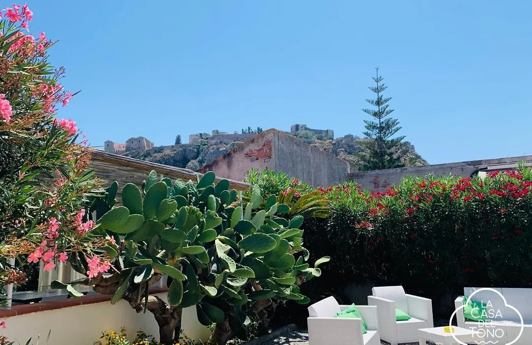 La Casa Del Tono-1