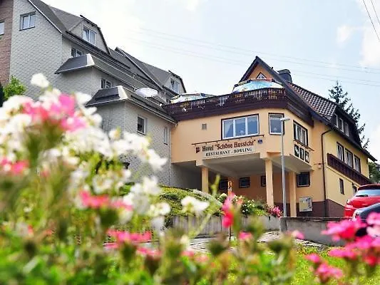 Hotel Schöne Aussicht-1