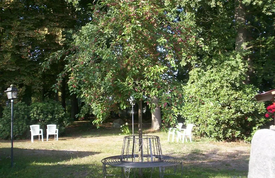 Pension Im Rehwinkel-1