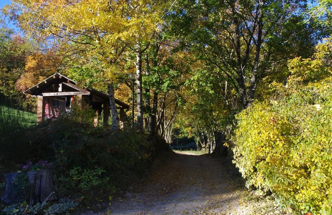 Fattoria La Guedrara-1