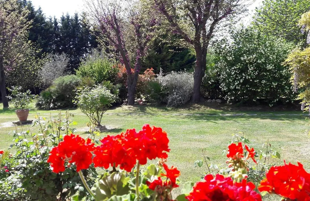 Villa Fabbri-1