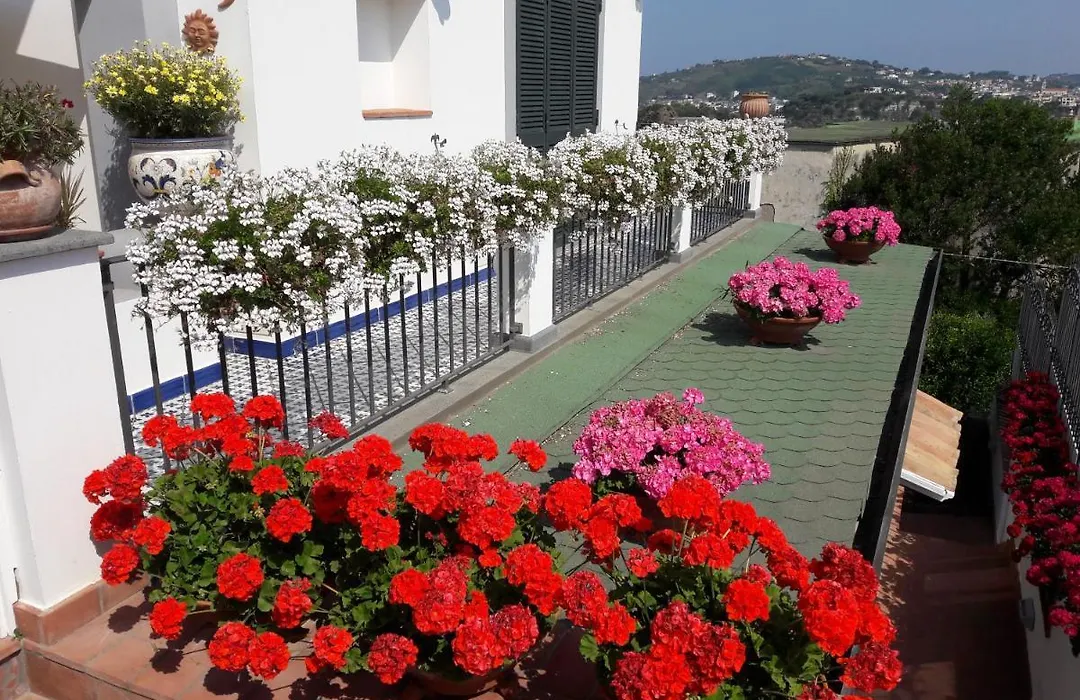 B&B Dea Fortuna-1