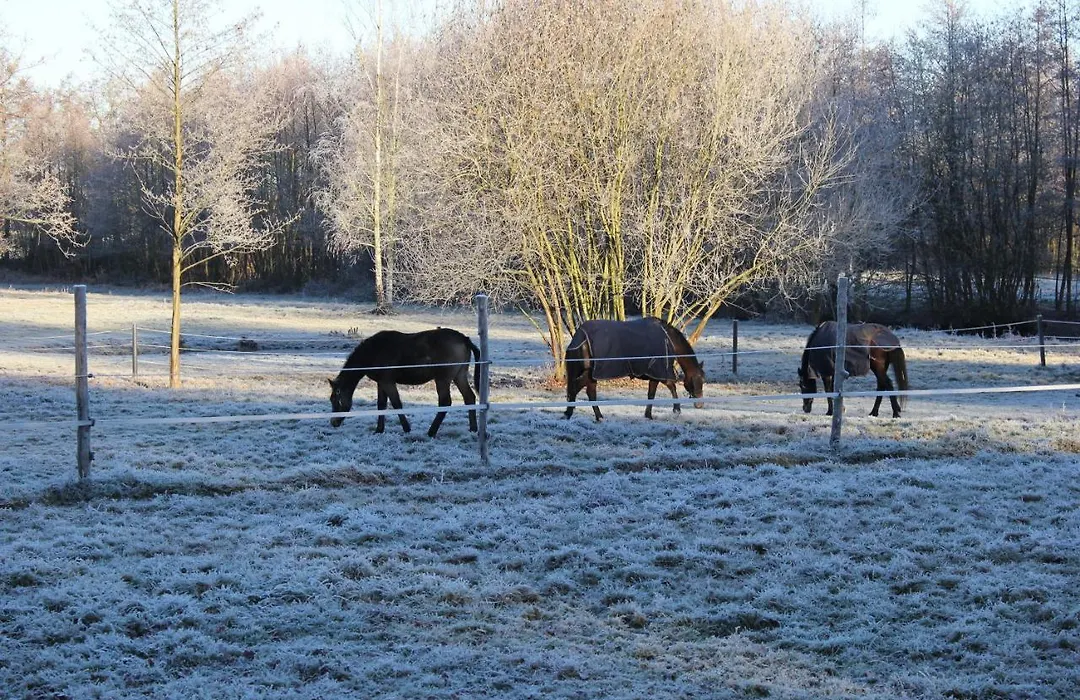 B&B Landgoed Bergerven-1