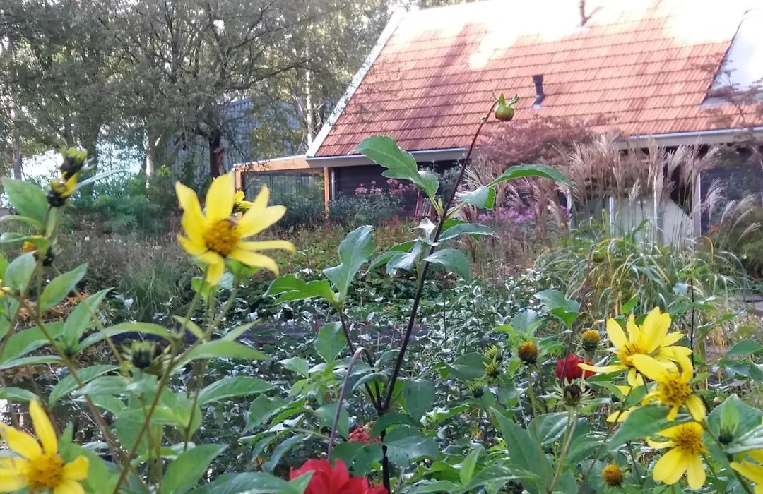 B&B Immer Met Moed-1