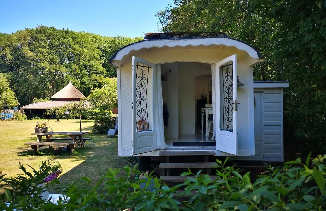 Bed & Breakfast Markelo-1