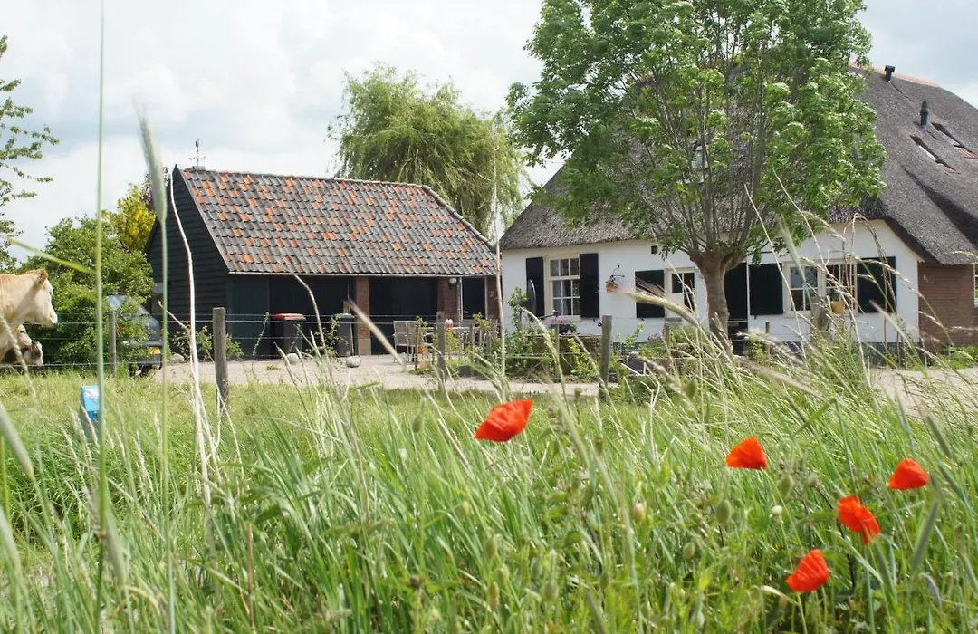 Bed&Breakfast de Bosakker-1